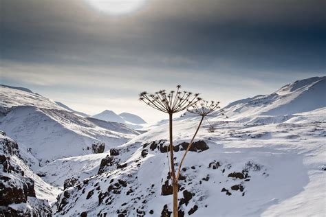 Cold Nature Jón Ingi Cæsarsson Flickr