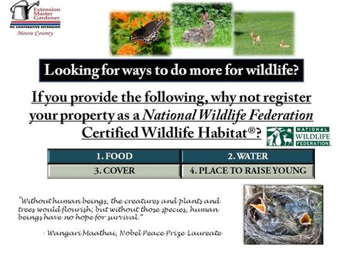 If Youve Ever Considered Becoming A Certified Wildlife Habitat The