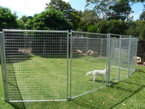 Temporary Dog Fence Ideas With 5 Type Easy Dog Fence