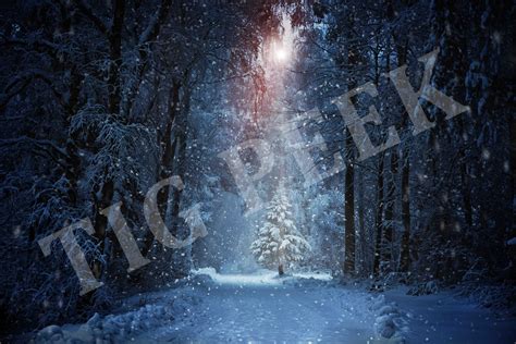 Christmas Tree Digital Backdrop Tree Digital Background Etsy