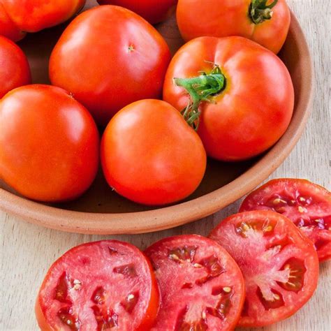 Reviews For Bonnie Plants 19 Oz Better Bush Tomato Plant Pg 1 The