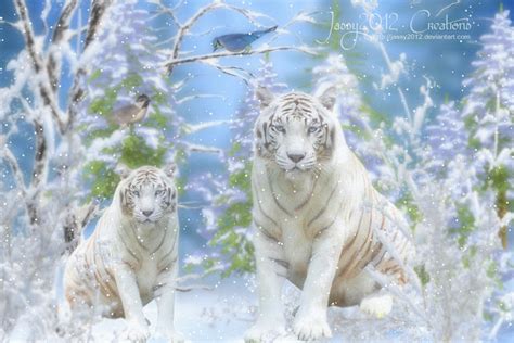 Snow Tigers Loves Snowfall Animation By Jassy2012 On Deviantart