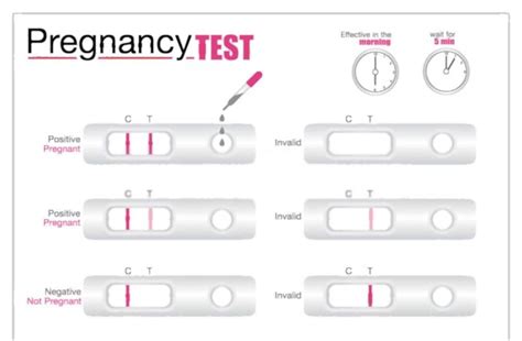 8 Possible Reasons For Period 20 Days Late Negative Pregnancy Test