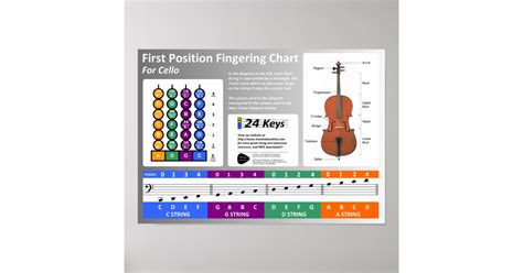 Cello Fingering Chart Poster Zazzlede