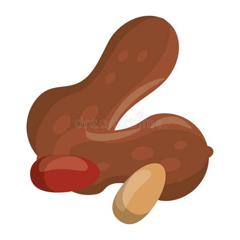 Nuts Natural Food Cartoon Stock Vector Illustration Of Mixed 146264833