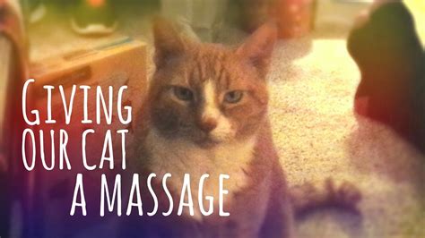Giving Our Cat A Massage Youtube