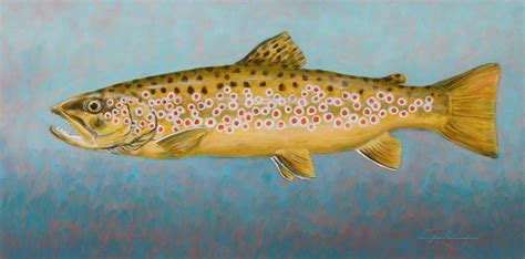 Brown Trout Lloyd Kelly 12x24 Oil On Canvas The Brinton Museum
