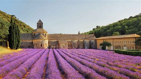 I 10 Migliori Tour Di Provenza Nel 2021 Con Foto Cose Da Fare E