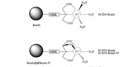 蛋白分离 层析亲和法 蛋白质纯化介质 NiNTABead6FF