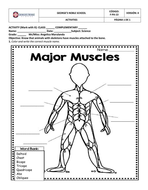 Muscular System Online Activity For 3 You Can Do The Exercises Online