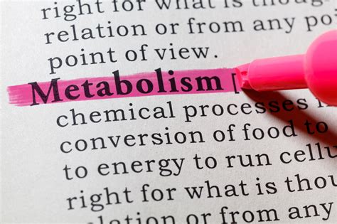 Definition Of Metabolism Vita Sciences