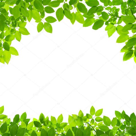 Download 100,000+ royalty free leaf border vector images. Green leaves border on white background — Stock Photo ...