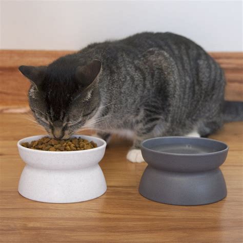 Farmina food for cats buy cheap online in the best cat shop in uk discover our new offers attractive prices and high quality farmina products fast delivery shop now. Pet Shop Near Me Cat Food