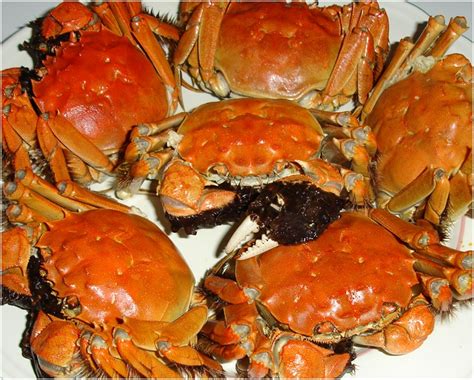 Yangcheng Lake Hairy Crabs In Hong Kong All Said To Be Fakes The Standard