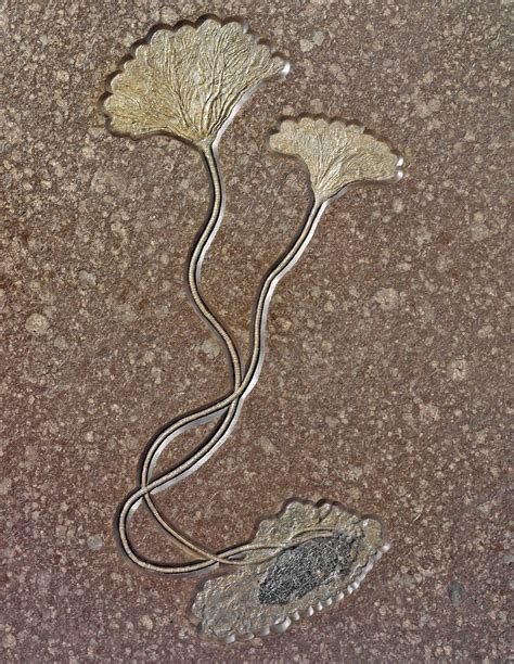 A Double Fossil Sea Lily Plaque Germany Christies