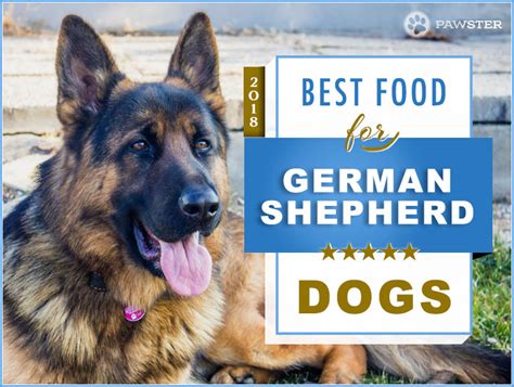 Top 6 Recommended Best Foods For A German Shepherd