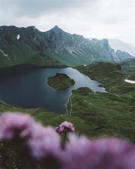 Schrecksee Lake Nebelhorn Mountain And Magenta Flowers Explorest