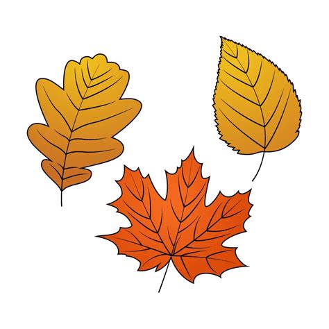 How To Draw Fall Leaves Step By Step