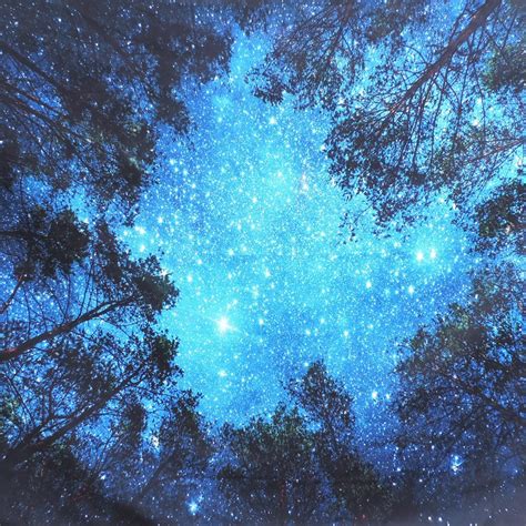 Psychedelic Forest Trees Stars Starry Sky Wall Hanging