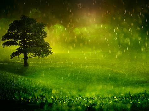 Free Download Rainy Day Wallpaper Desktop Which Is Under The Rainy