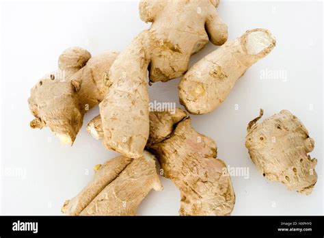 Ginger Roots Ingwerwurzeln Stock Photo Alamy