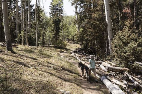Seven Year Old Boy Walking His Dog In Forest Of Aspen Trees — Carefree