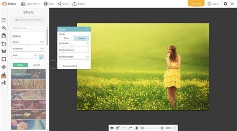 Top 6 Online Photo Editing Software Like Photoshop Free And Paid