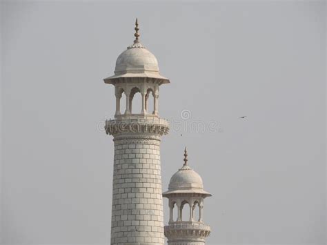 Close Up Details Taj Mahal Famous Unesco Historical Site Love