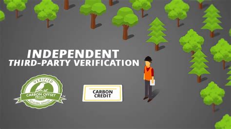 Video Forest Carbon Offset Verification What To