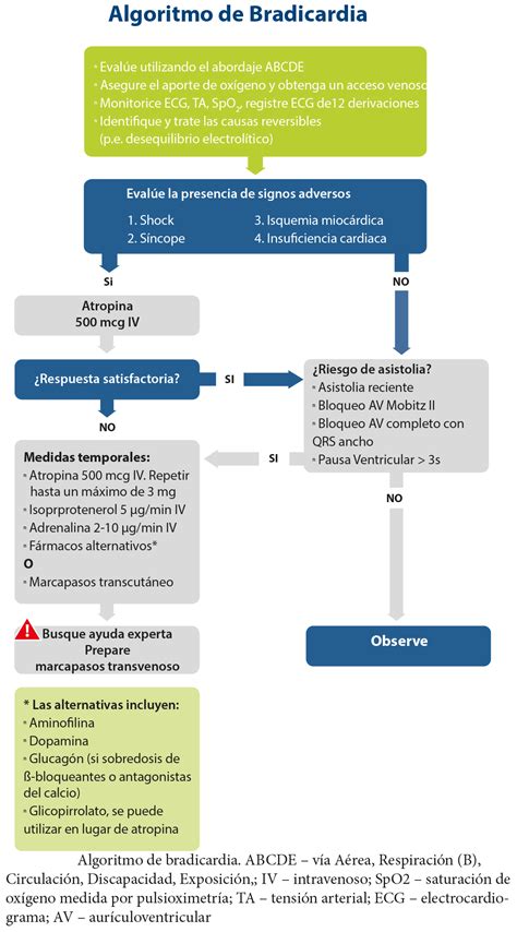 Soporte Vital Avanzado En El Paciente Adulto