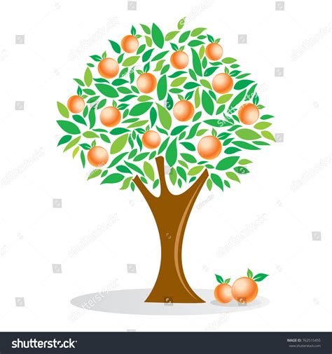 Orange Tree Fruit Tree Vector Illustration Royalty Free Stock