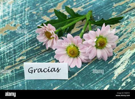 Gracias Thank You In Spanish Card With Pink Daisy Flowers On Rustic