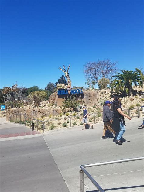 San Diego Zoo Africa Rocks Fun Diego Family Guide
