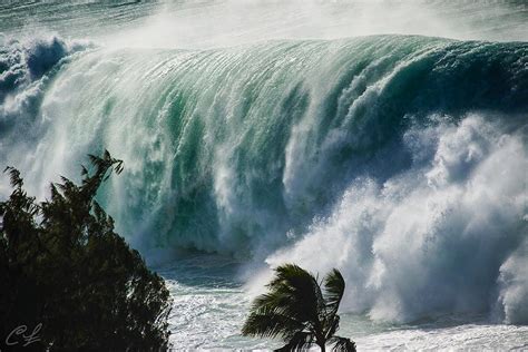 Gigantic Waves Hit Hawaii Coast In Strongest Surf Events In 50 Years