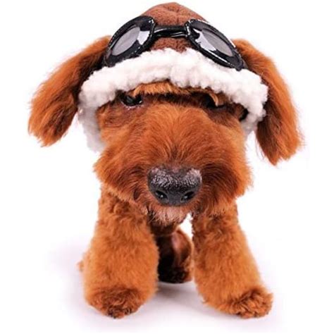 Take Flight With These 3 Fantastic Aviator Hats For Dogs