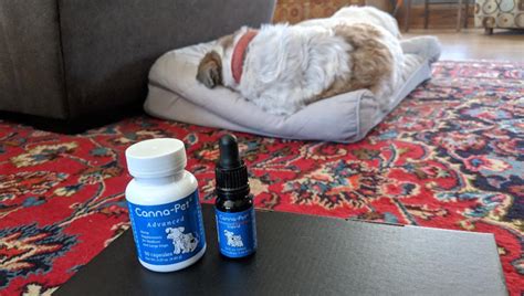 Try cannapro cbd oil to reduce anxiety and pain! DogTime Review: Can Canna-Pet CBD Products Calm Your ...