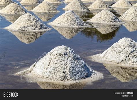 Raw Salt Pile Salt Sea Image And Photo Free Trial Bigstock