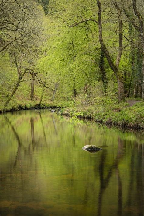 Stunning Peaceful Spring Landscape Image Of River Teign Flowing Through