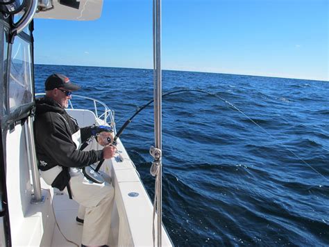Cape Cod Bluefin Jigging Popping In Saltwater Fishing Discussion Board Including Inshore