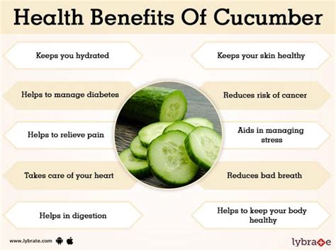 Cucumber Diet Health Condition Health Blog