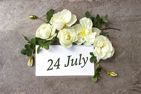 Premium Photo July 24th Day 24 Of Month Calendar Date White Roses