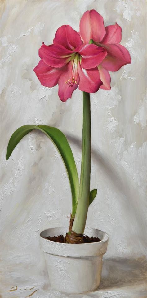 Renéés Amaryllis Amaryllis Painting Pink Flowers Background Flower