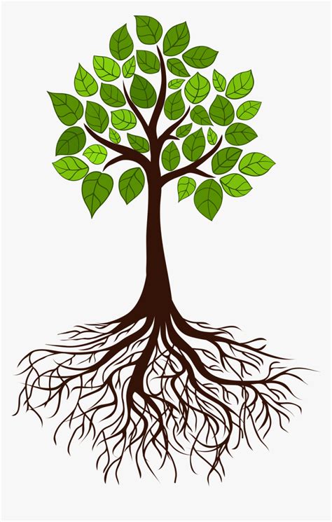 Tree Root Branch Tree With Roots Hd Png Download Kindpng