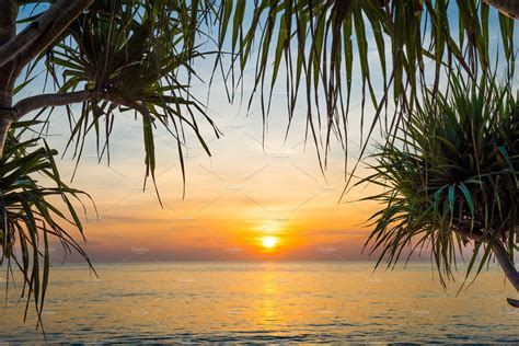 Sunset At Tropical Beach With Palms Landscape Tropical Beach Sunset
