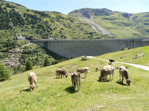 Val Ferrera La Diga E Il Lago Di Lei Un Paradiso Alpino