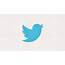Twitters New Bird Logo Takes Flight  The Verge