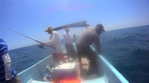 Pesca Sisal 2016 Edu Gonzalez Youtube