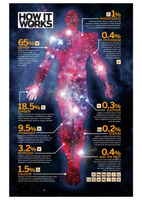 You Are Made Of Stardust How It Works Magazine