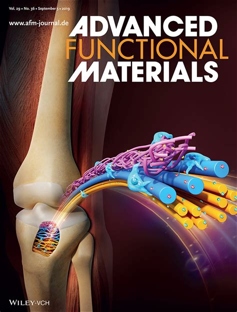 Tissue Engineering Polymer Fiber Scaffolds For Bone And Cartilage