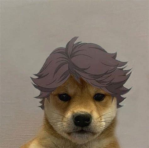 Oikawa💫 Dog Icon Anime Puppy Anime Funny